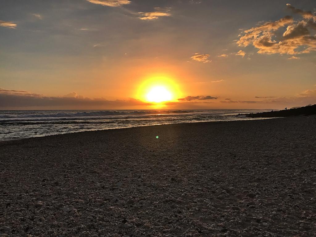 Le Petrel Blanc - Appartement Sur La Plage De La Souris Blanche Trois Bassins Bagian luar foto